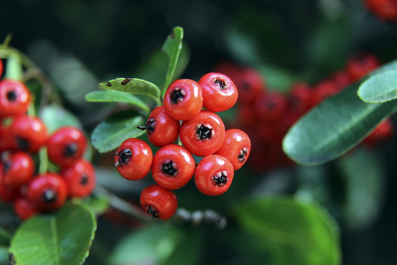 勇于突破困 勇于突破困