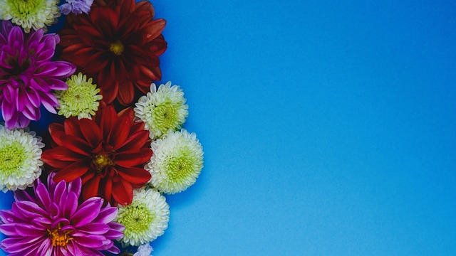 给予球员充 给予球员充