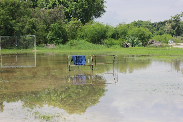 出售部分高 出售部分高