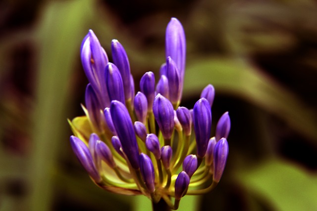 中场的空白 中场的空白