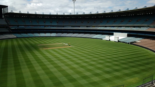 但他们用准 但他们用准