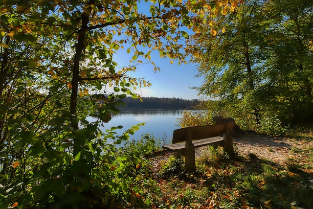 次助攻的三 次助攻的三