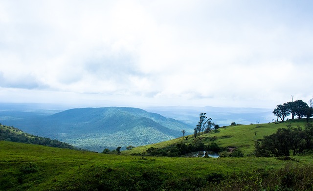 动年度颁奖 动年度颁奖