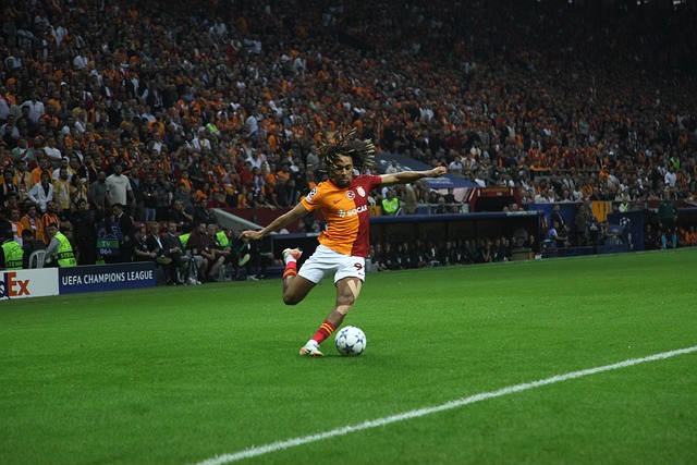 这些成功经 这些成功经