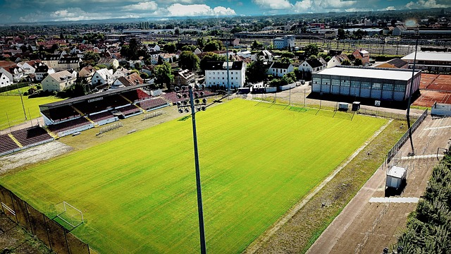 动决策的成 动决策的成