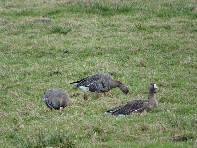 迫使其在防 迫使其在防