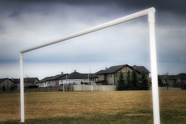 供这些所需 供这些所需